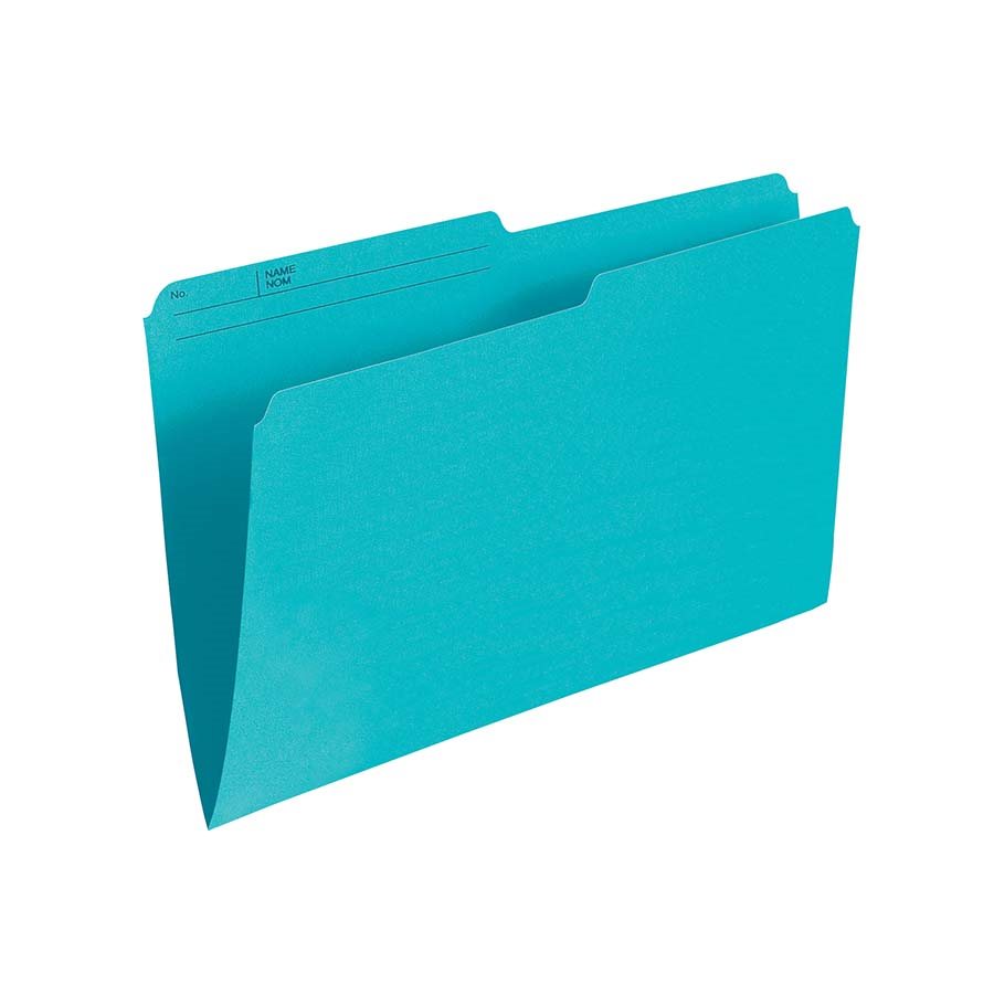 DOSSIER LGL REVERS CLR TEAL (100)