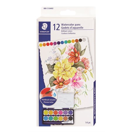 Ensemble de peinture d’aquarelle avec plateau
